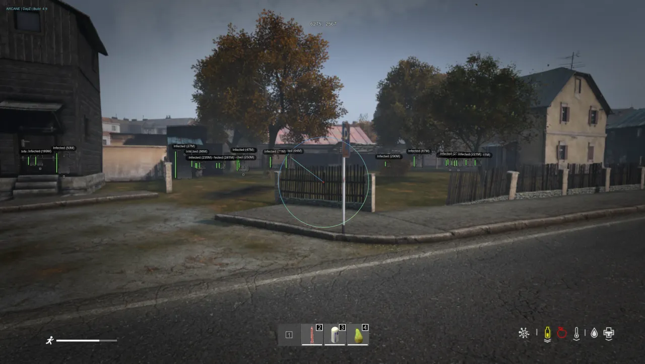Arcane: Dayz