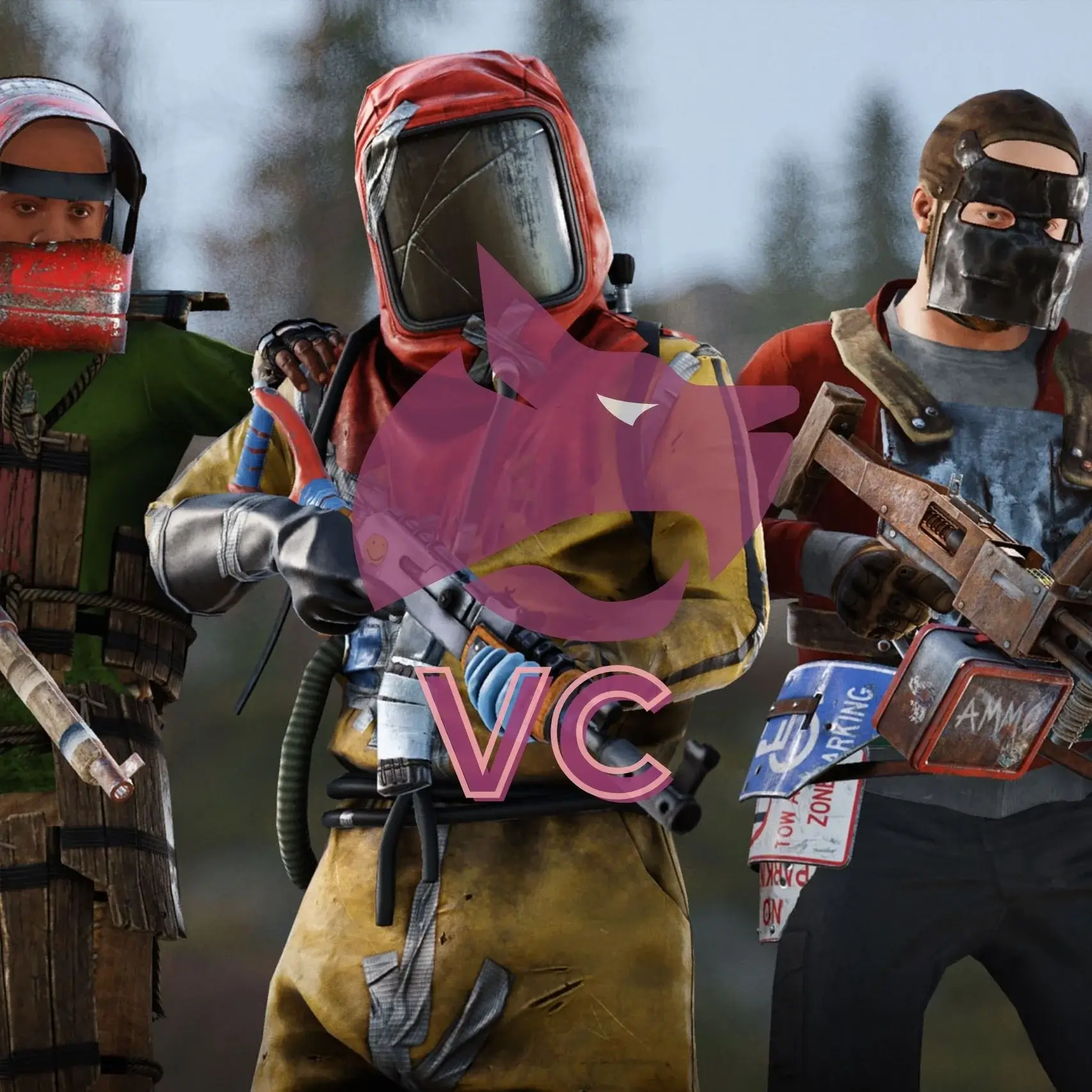VC: Rust