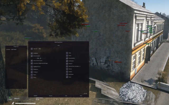 DayZ Aimbot